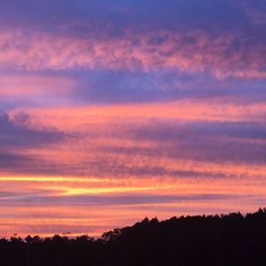 Meet your Posher, Jada